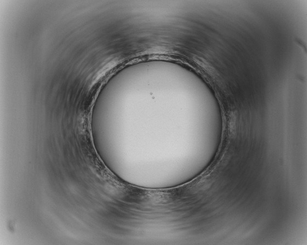 X0000101981258200807251226