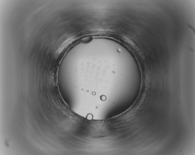 X0000101981259200807251226