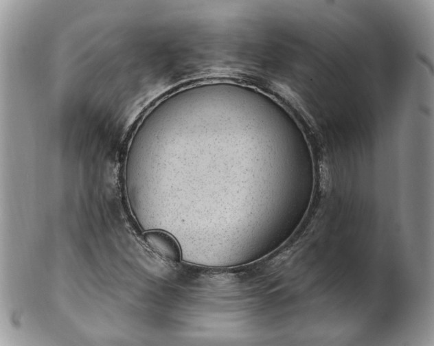 X0000101981260200807251226