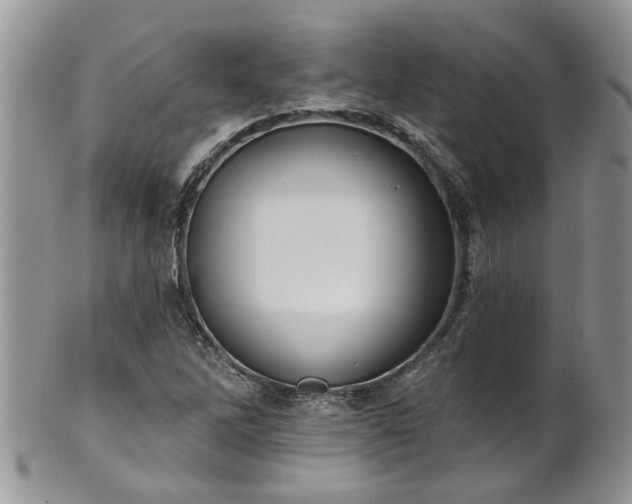 X0000101981262200807251226