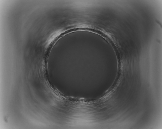 X0000101981263200807251226