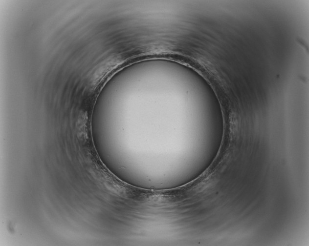 X0000101981265200807251226