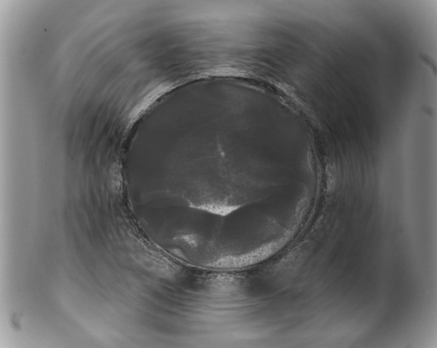 X0000101981266200807251226