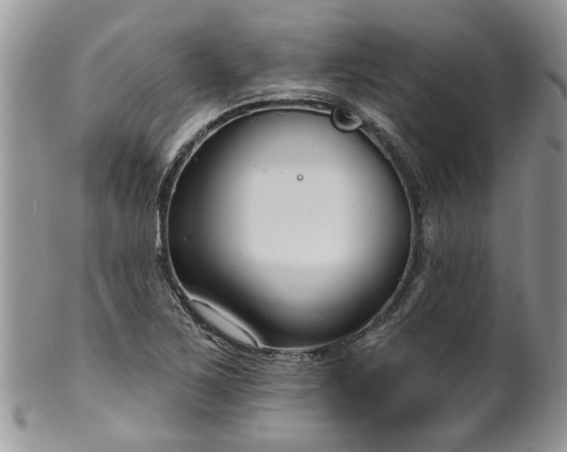 X0000101981267200807251226