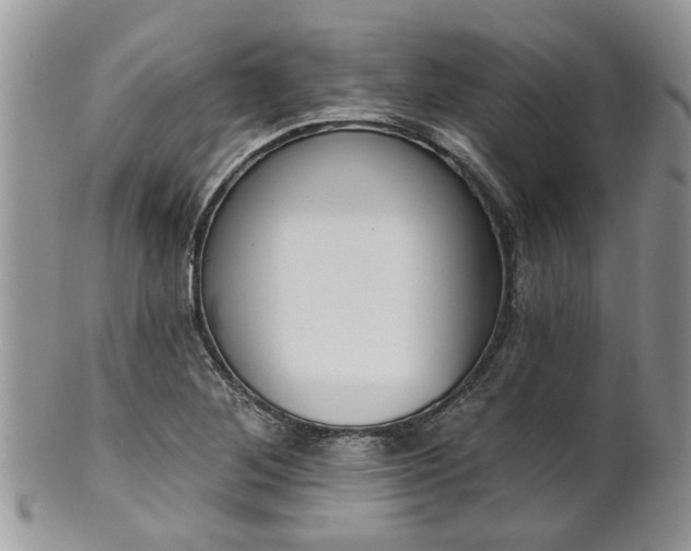 X0000101981268200807251226