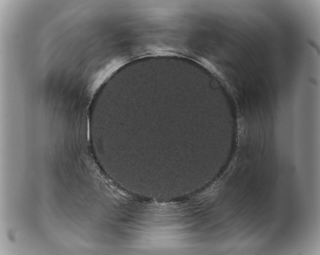 X0000101981269200807251225