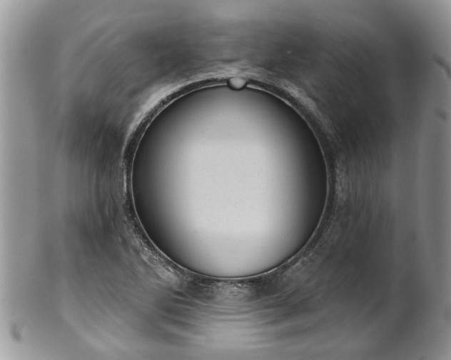 X0000101981270200807251225