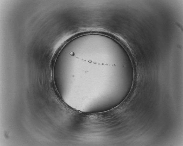 X0000101981271200807251225