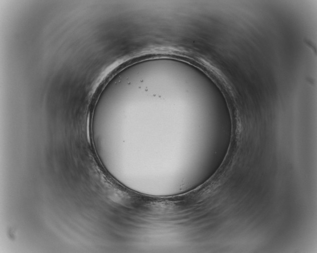 X0000101981272200807251225