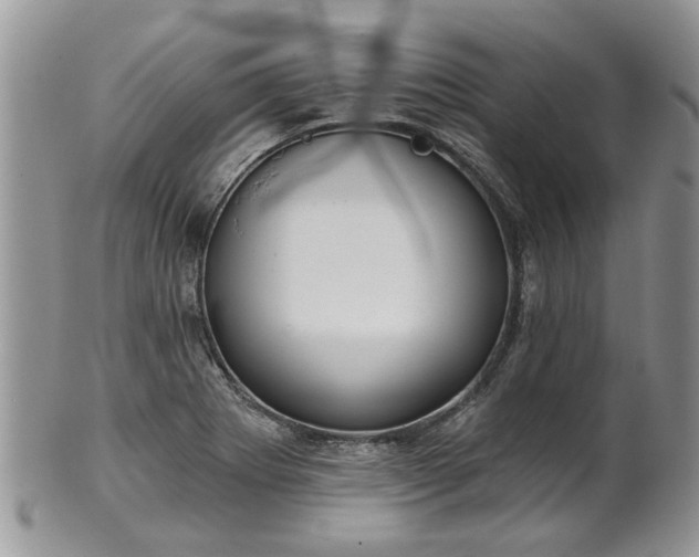 X0000101981273200807251225