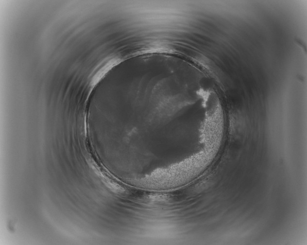 X0000101981274200807251225