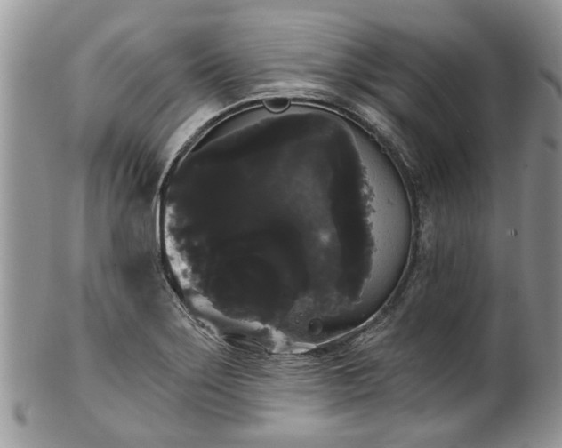 X0000101981275200807251225