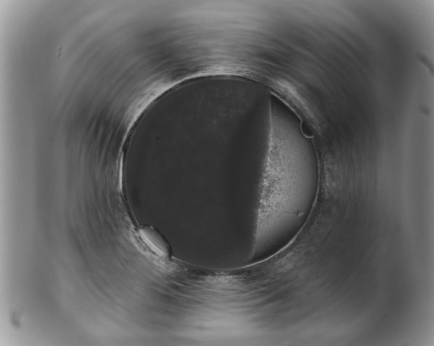 X0000101981276200807251225