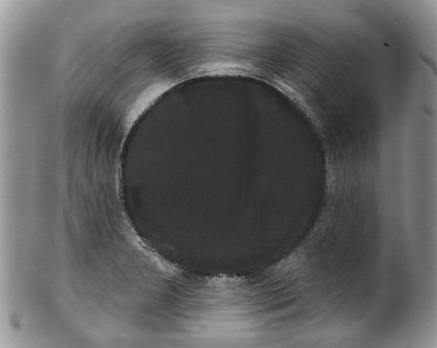 X0000101981277200807251225