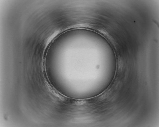 X0000101981278200807251225