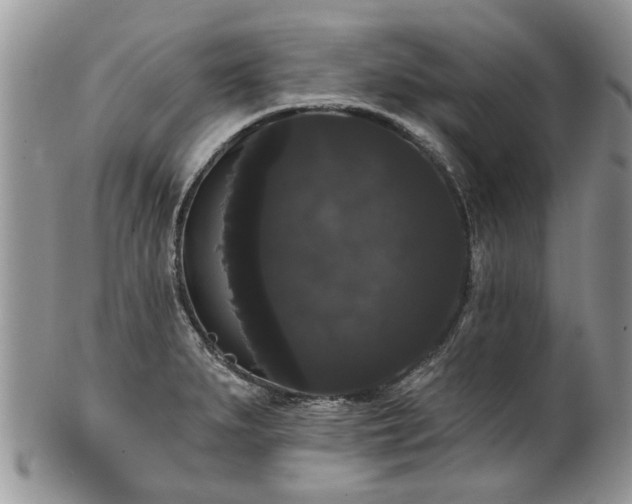 X0000101981279200807251225