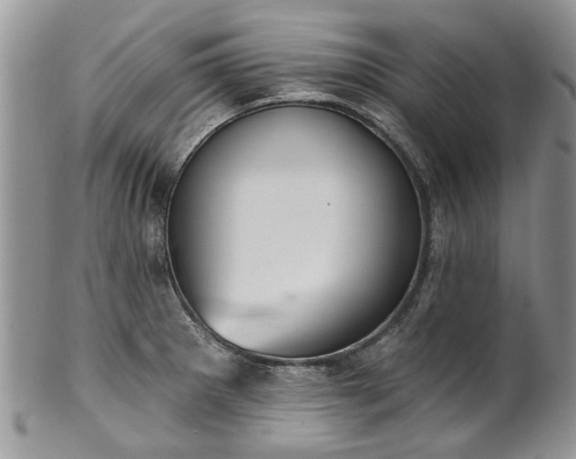 X0000101981281200807251225