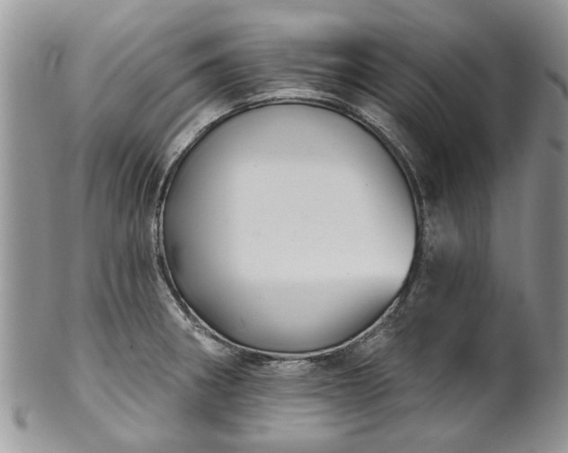 X0000101981282200807251225