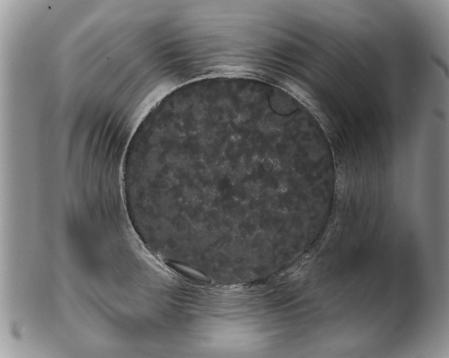 X0000101981283200807251225