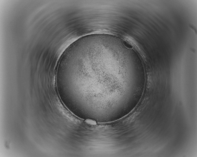 X0000101981284200807251225