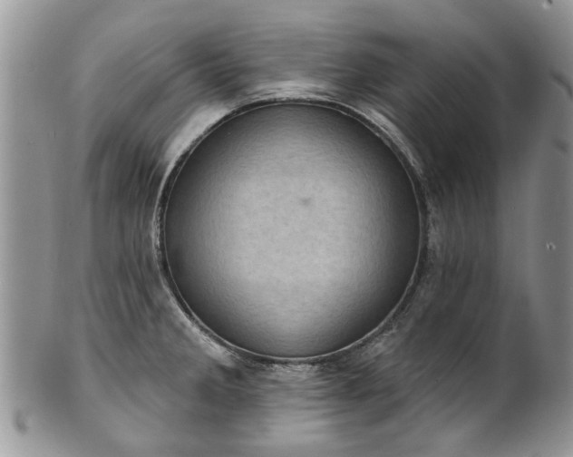 X0000101981285200807251225