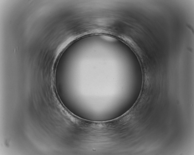 X0000101981286200807251225