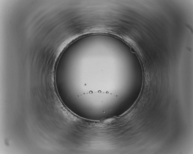 X0000101981288200807251225