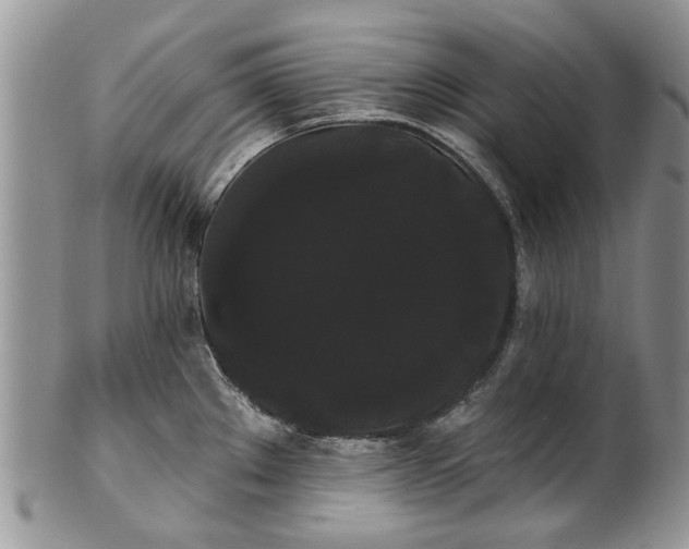 X0000101981289200807251225