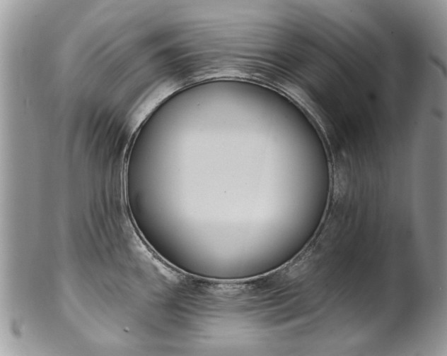 X0000101981290200807251225