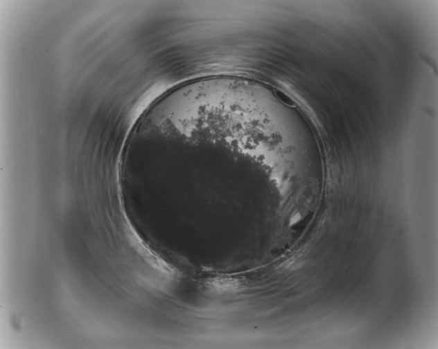 X0000101981291200807251225