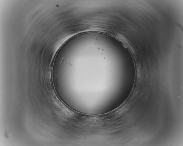 X0000101981292200807251225