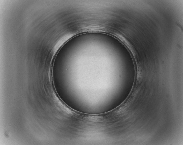 X0000101981293200807251225