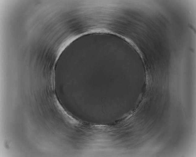 X0000101981295200807251225