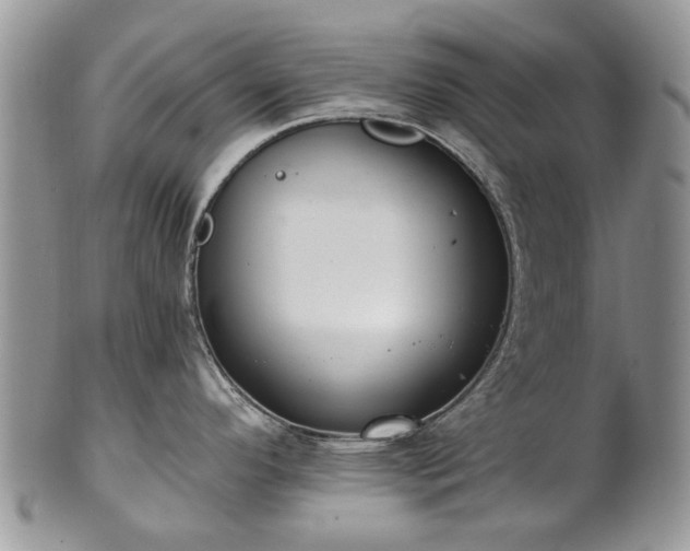 X0000101981296200807251225