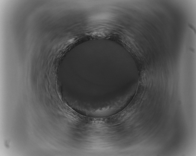 X0000101981297200807251224