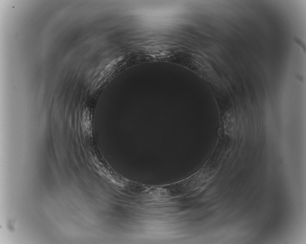 X0000101981298200807251224