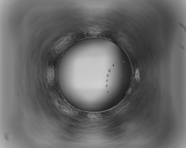 X0000101981299200807251224