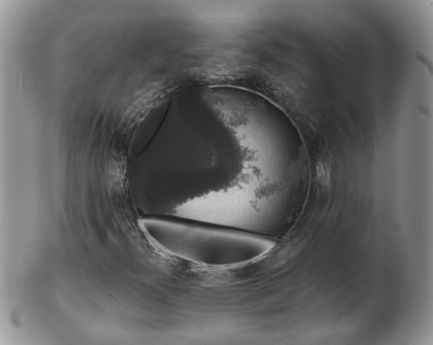 X0000101981300200807251224