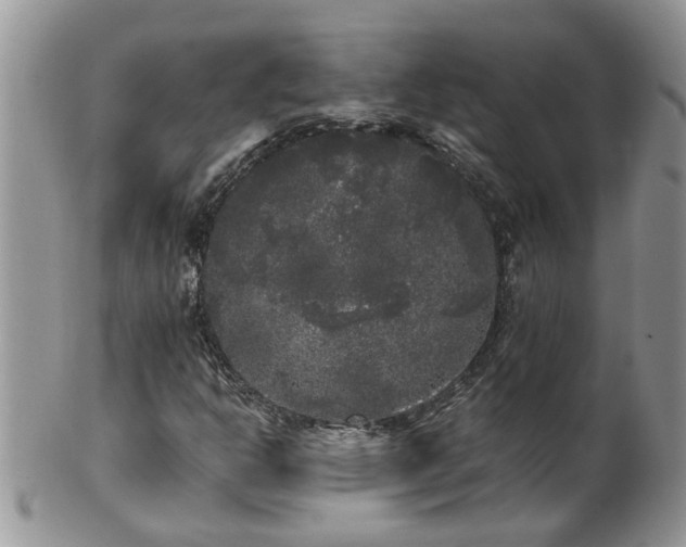 X0000101981302200807251224