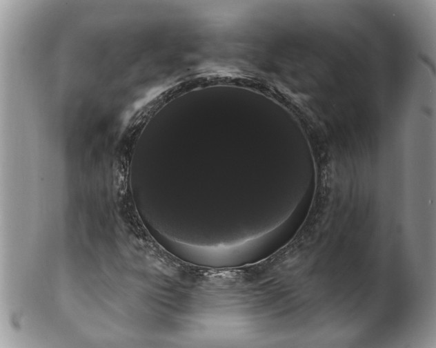 X0000101981303200807251224