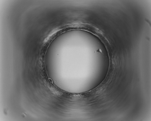 X0000101981304200807251224