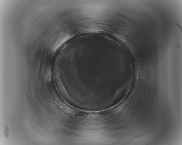 X0000101981306200807251224