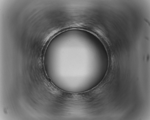 X0000101981308200807251224