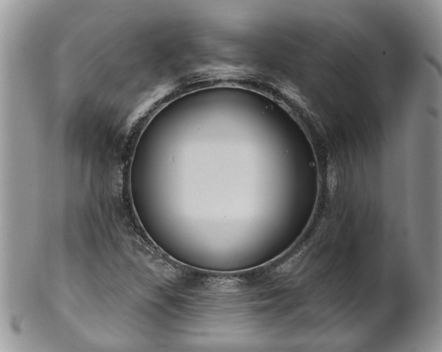 X0000101981309200807251224