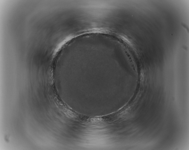 X0000101981310200807251224