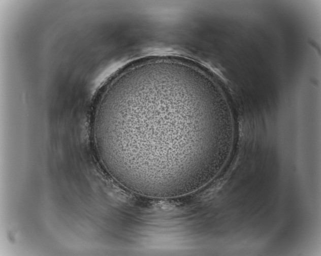 X0000101981311200807251224