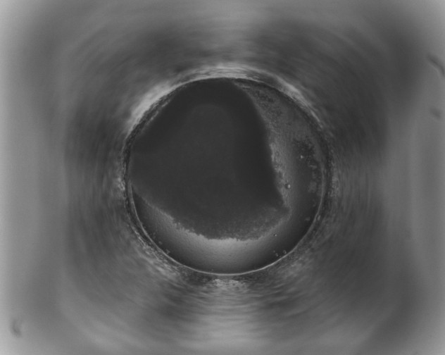 X0000101981312200807251224