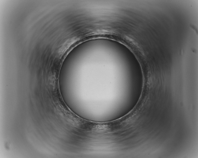 X0000101981313200807251224