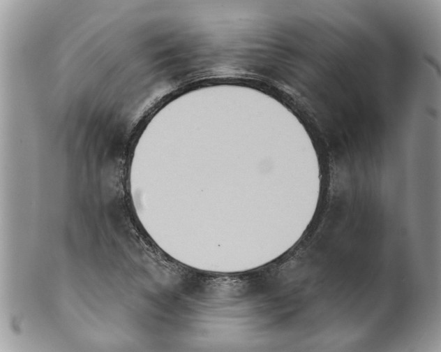 X0000101981314200807251225