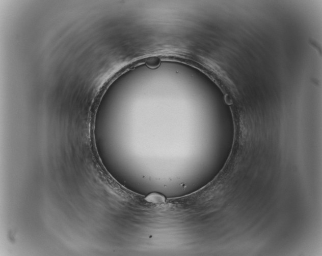 X0000101981316200807251225